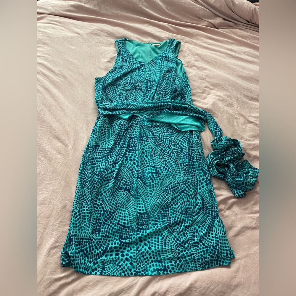 Issa by Banana Republic belted dress